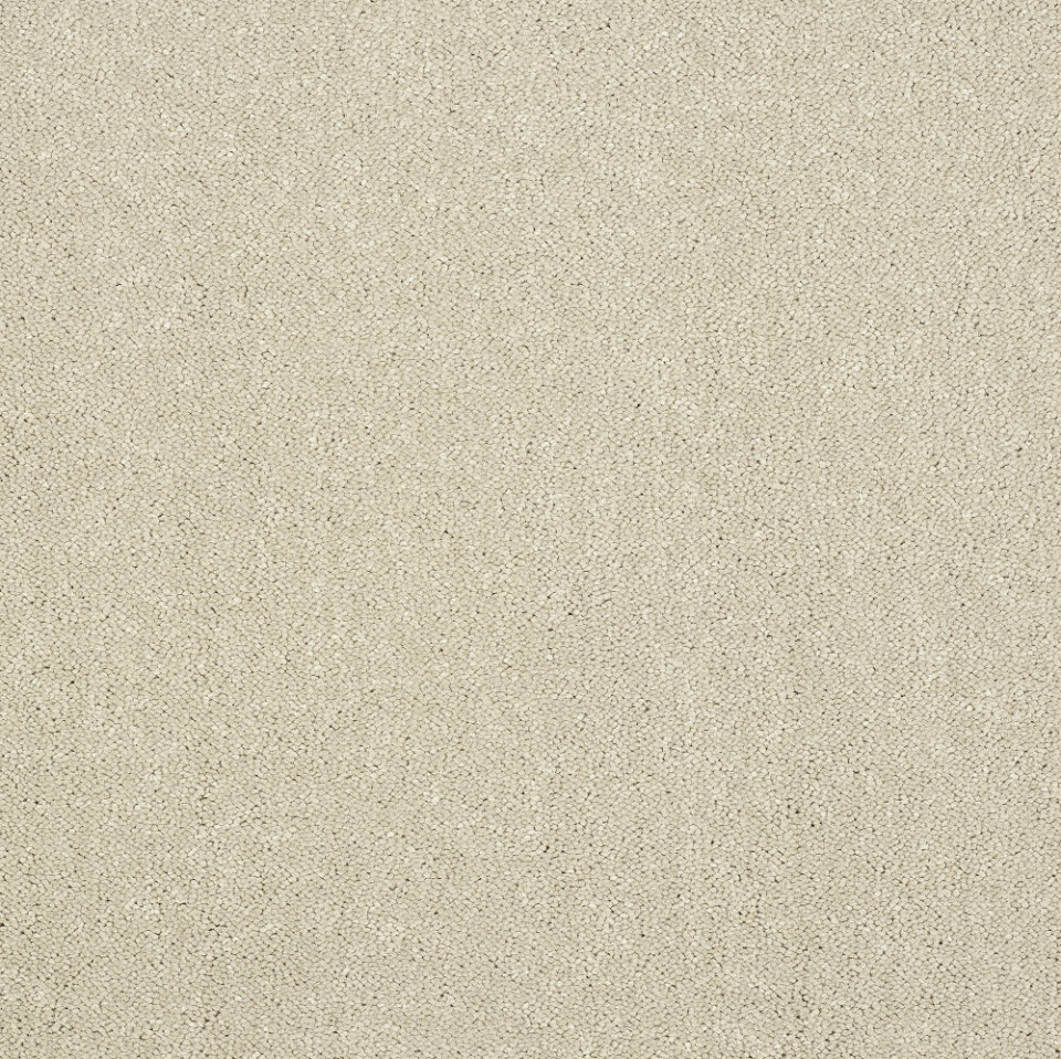 Captivation saxony carpet in colour Turtle dove