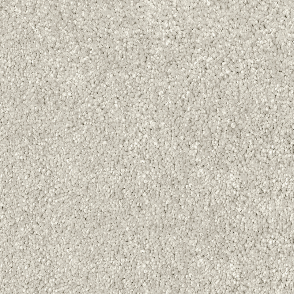 Desire saxony carpet in colour Sesame