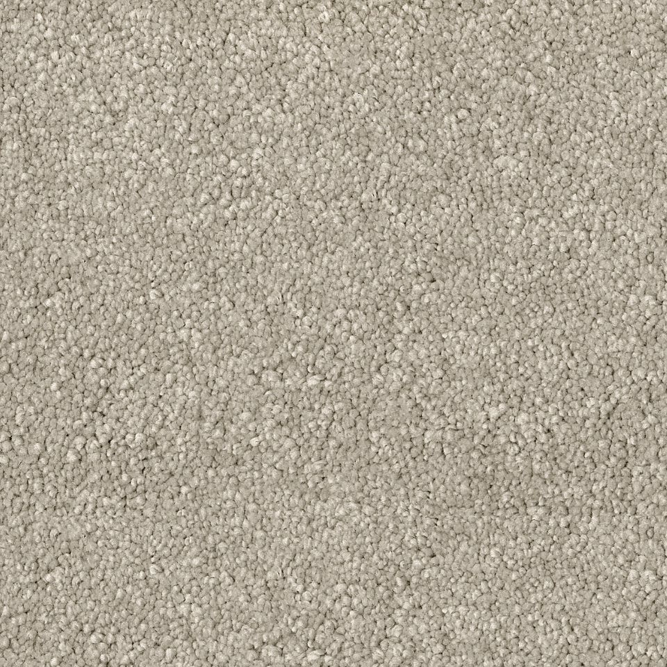 Desire saxony carpet in colour Coriander