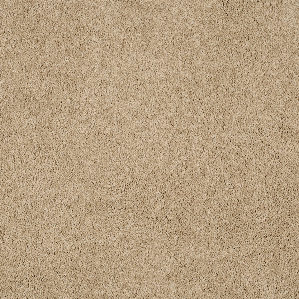 Magical feeling saxony carpet in colour Muffin Delight