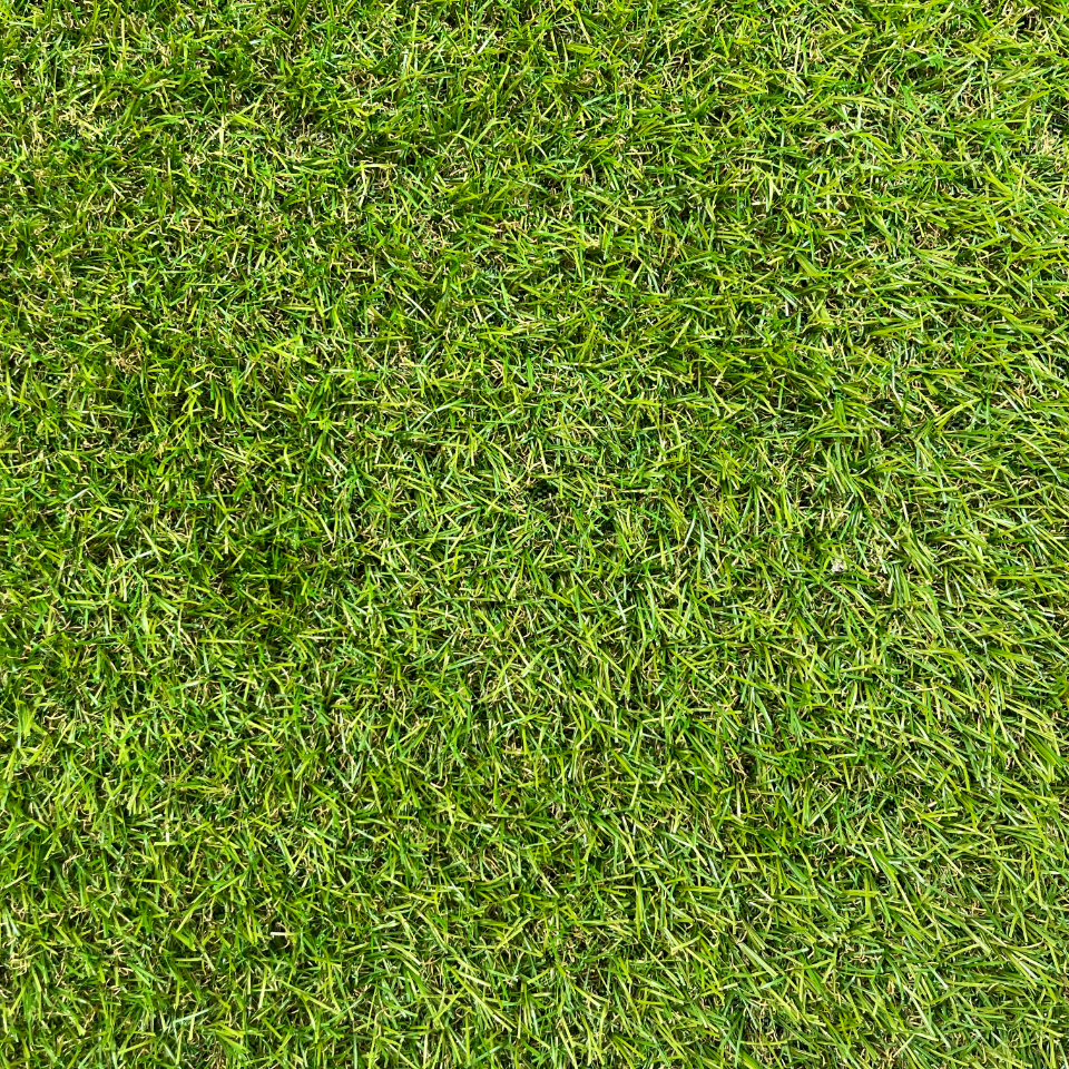 Artificial grass Avon 20mm style