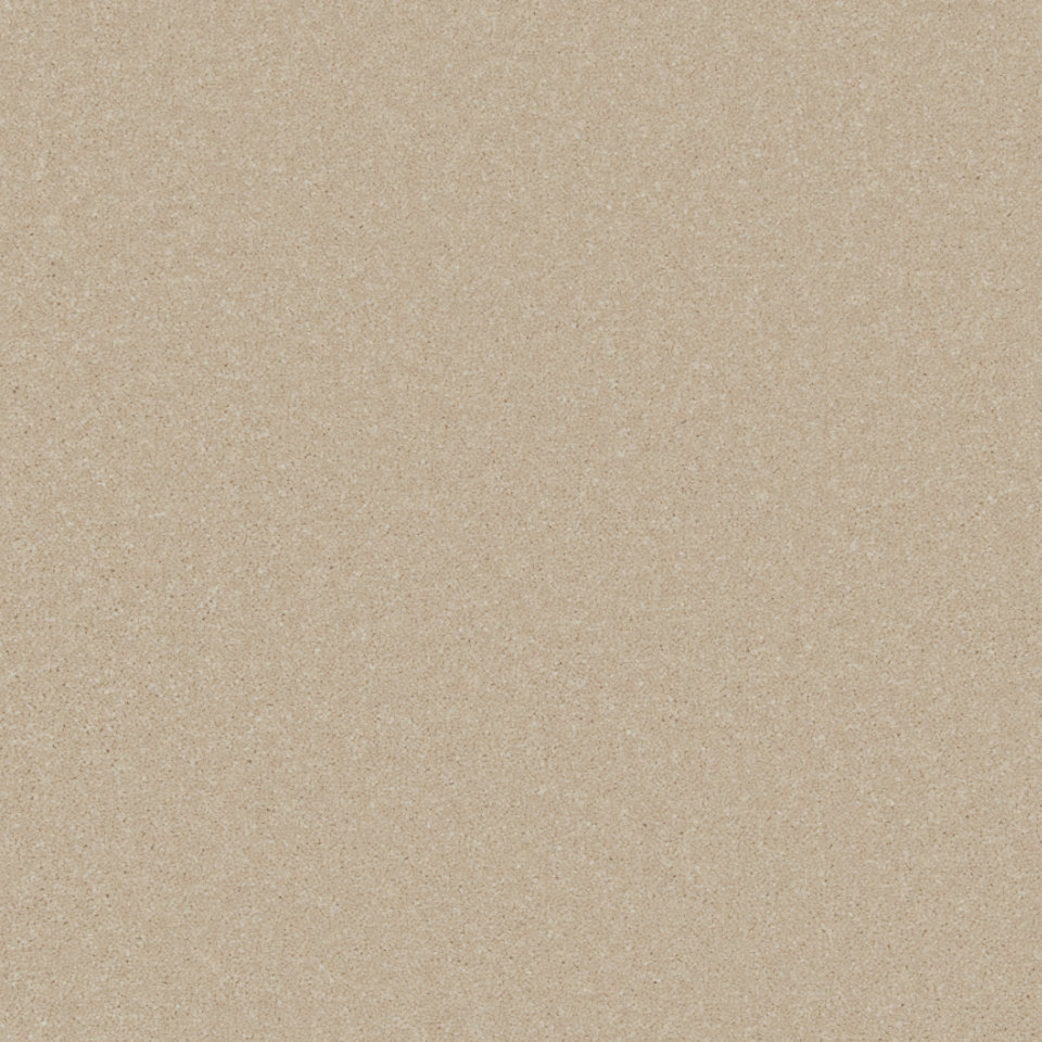 lucca twist pile carpet in colour cloudy bay