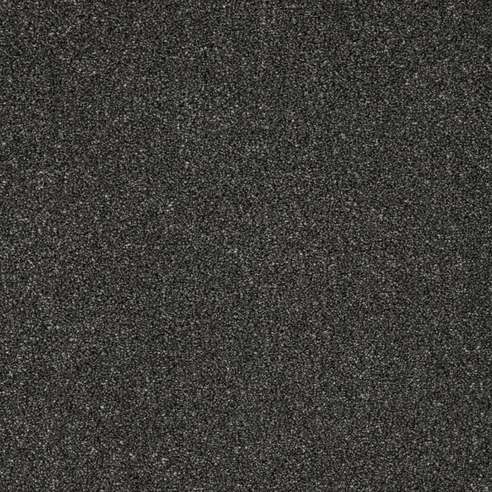 pompei saxony carpet in Jet