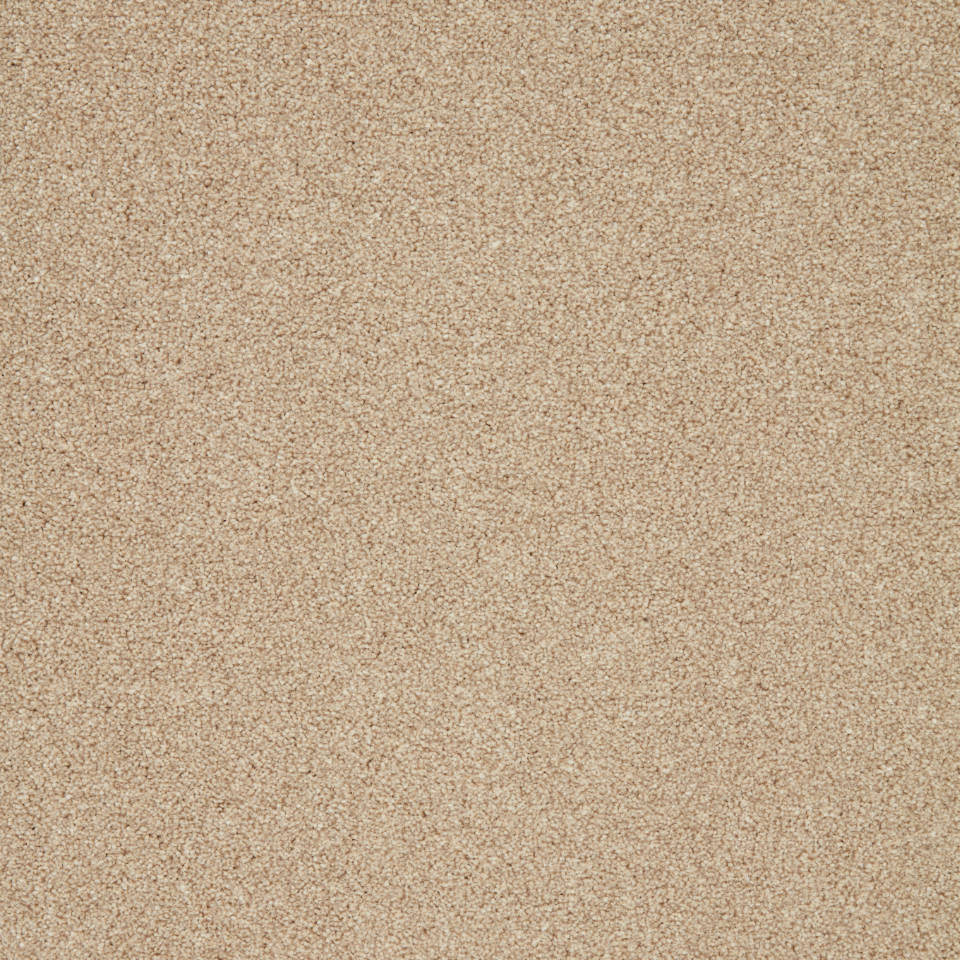 pompei saxony carpet in Marshmallow