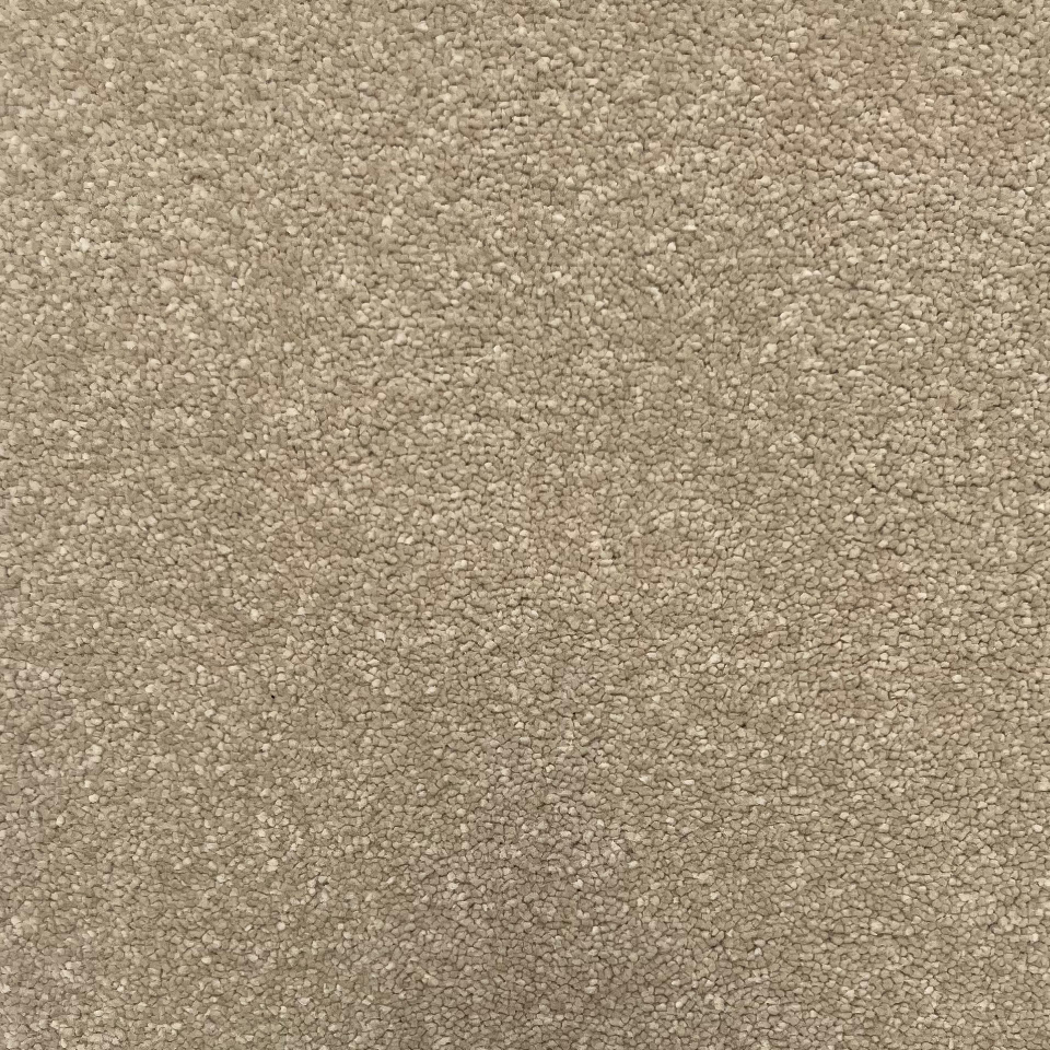 ultimate impressions carpet in paradise