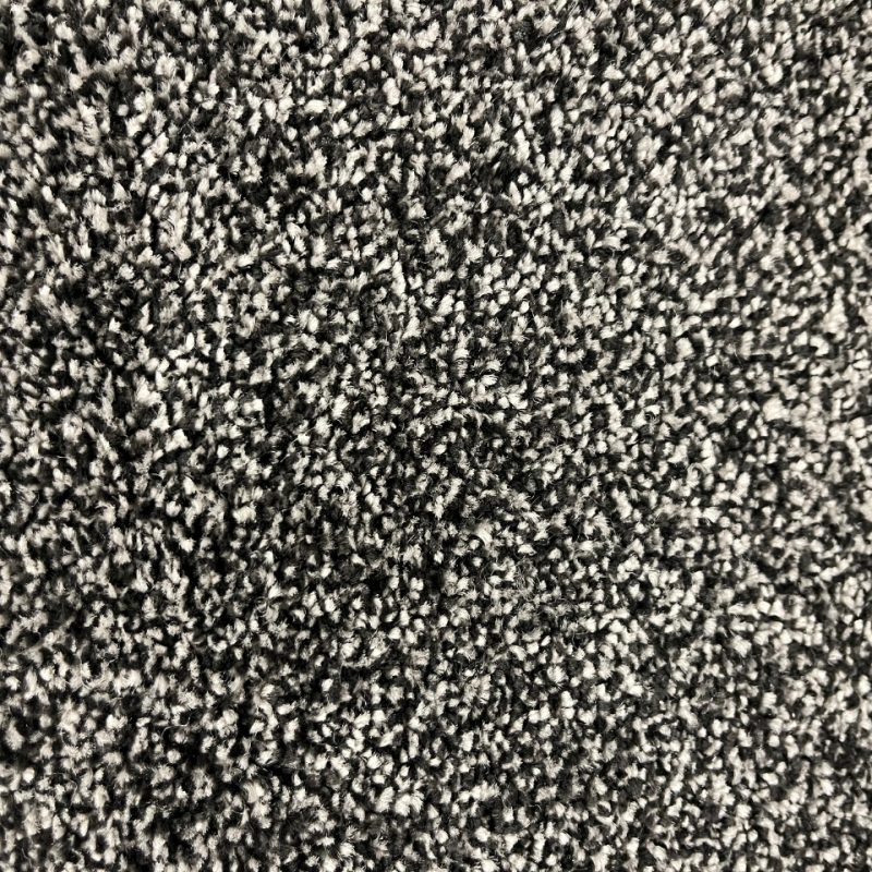 Alice Springs twist pile carpet in 78