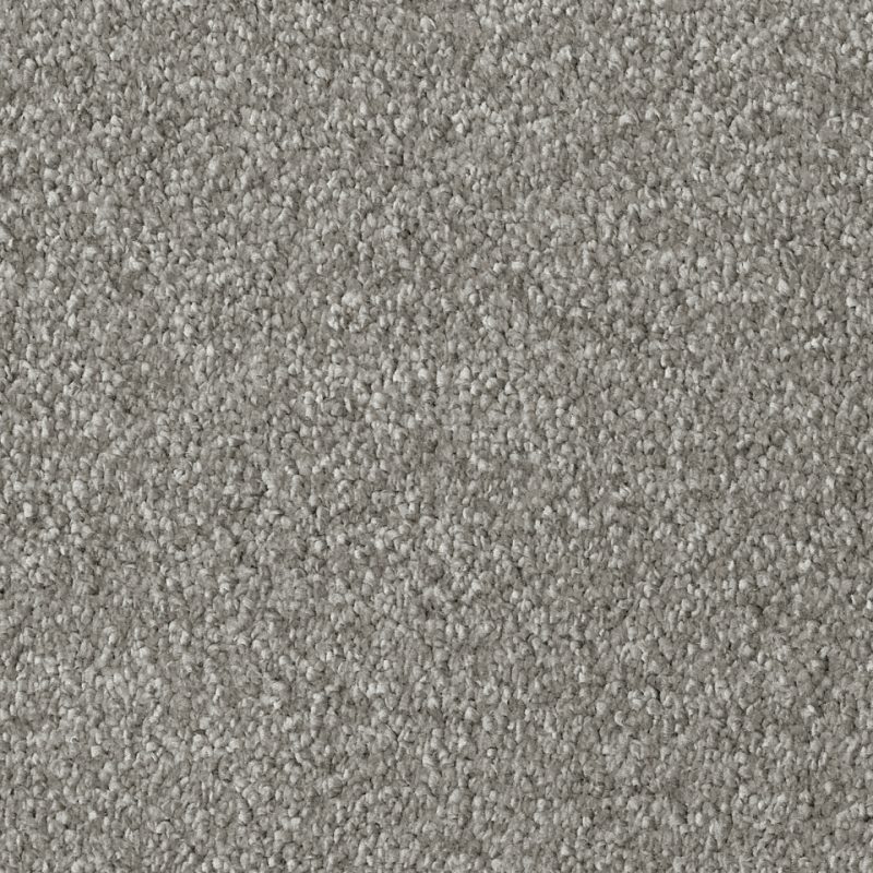 Arezzo saxony carpet in colour Pebble