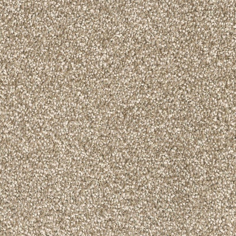Arezzo saxony carpet in colour Steel