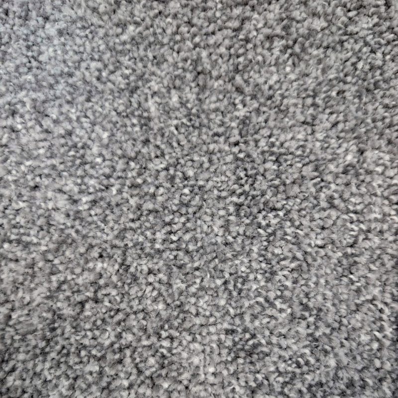 Brisbane twist pile carpet in 73