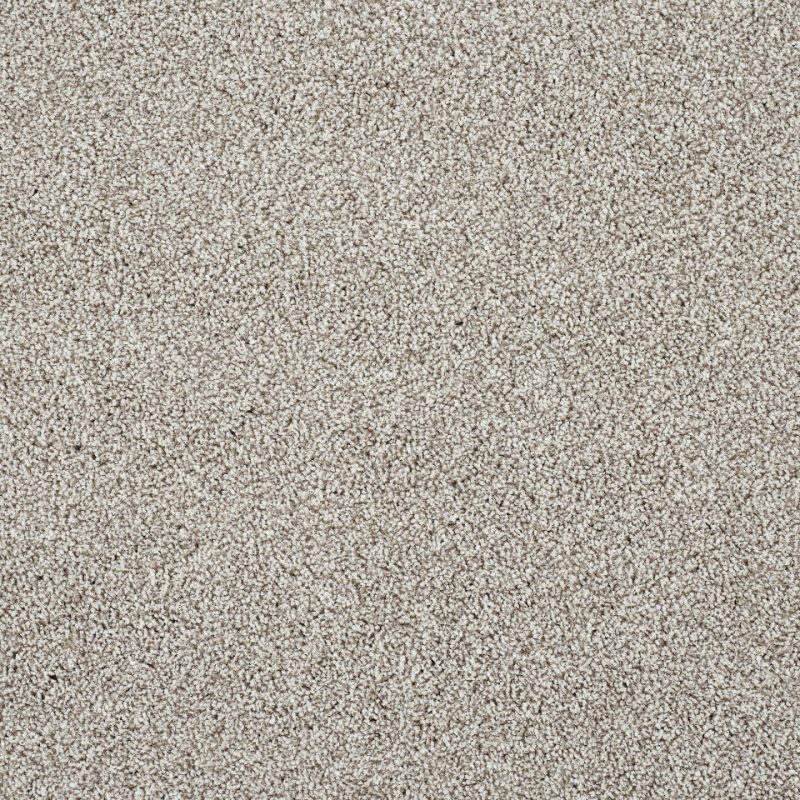 Caerphilly saxony carpet in colour Tapestry