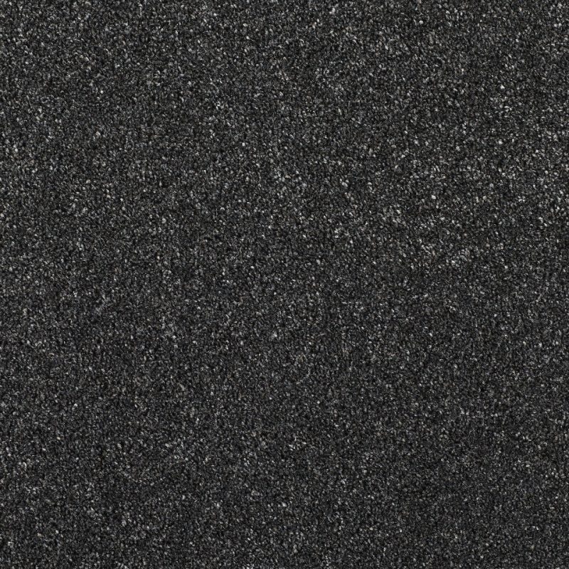 Caerphilly saxony carpet in colour Black Magic