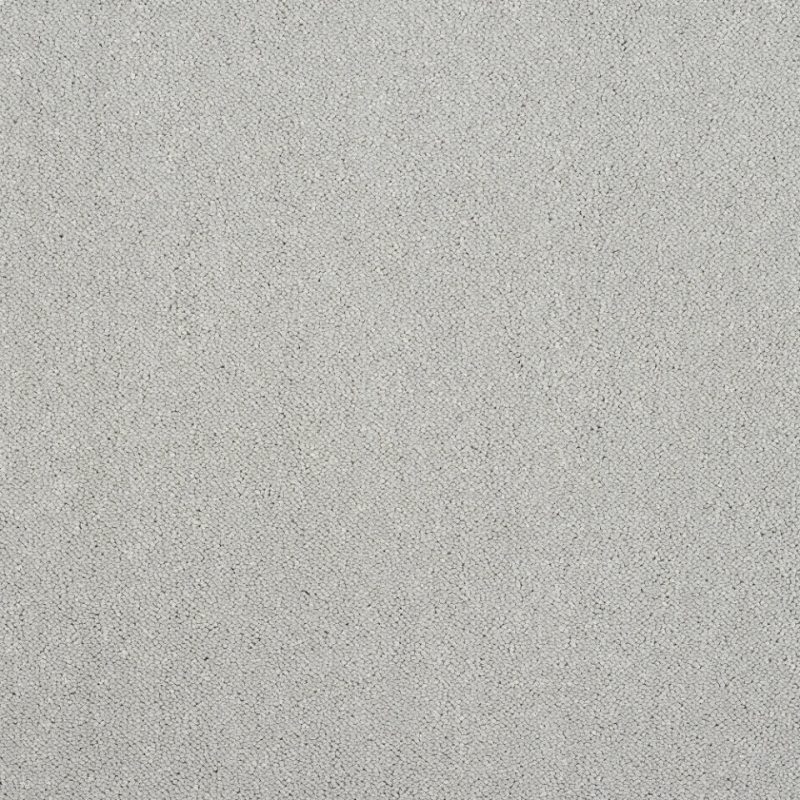 Captivation twist pile carpet in Tundra front
