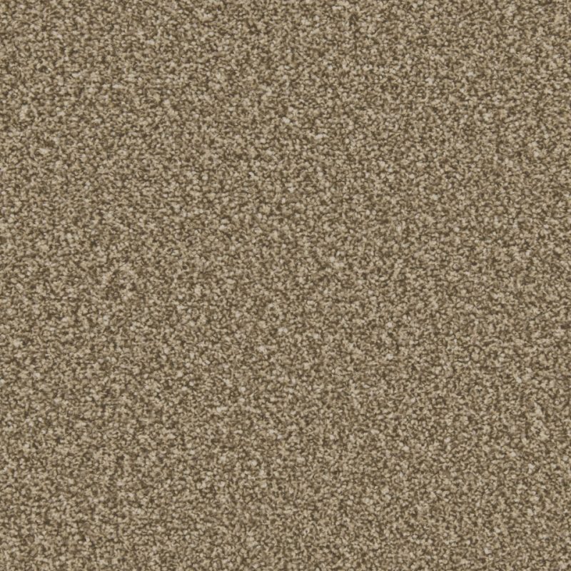 Classic Twist twist pile carpet in Cookie dough