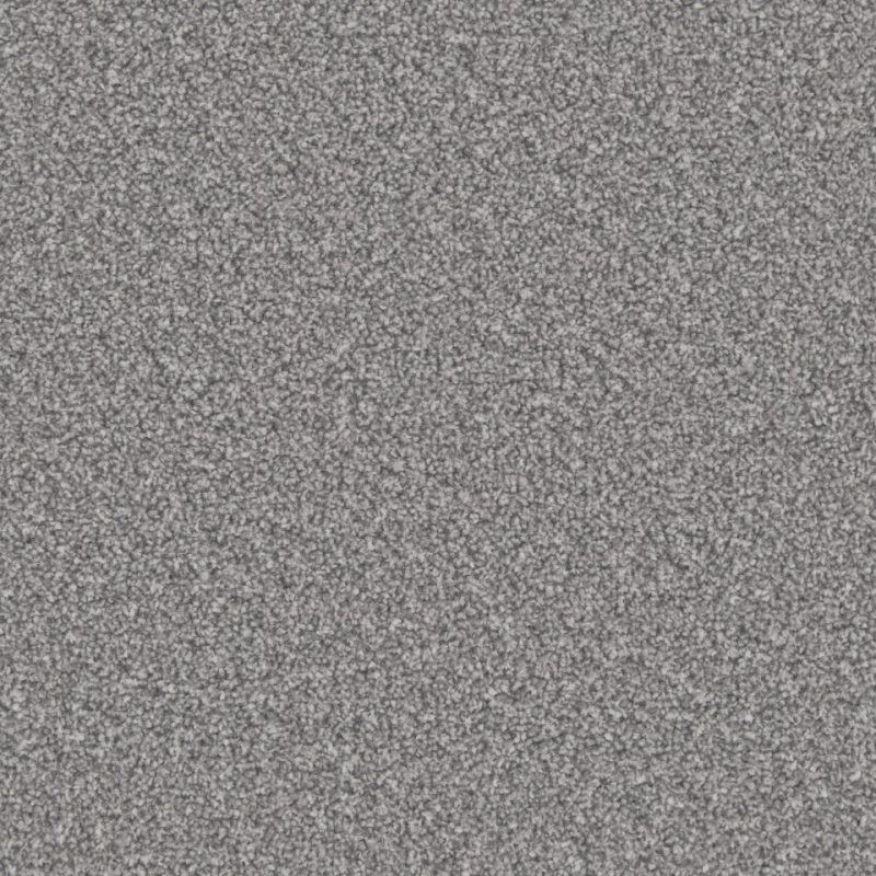 Classic Twist twist pile carpet in Frosted steel