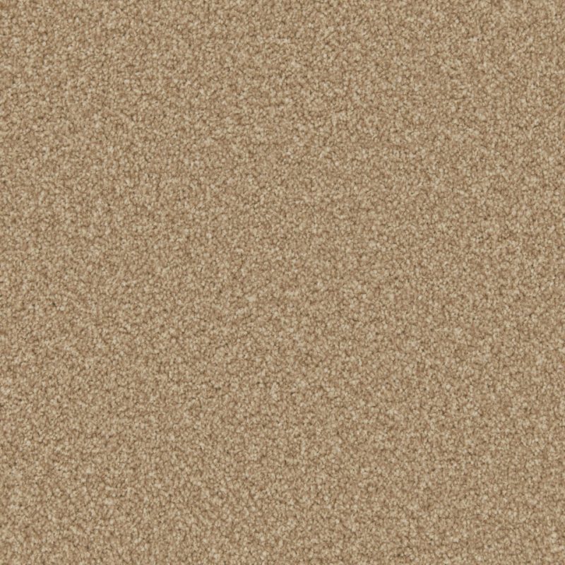 Classic Twist twist pile carpet in Latte