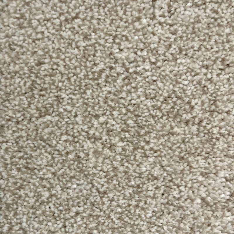 Cosiness saxony carpet in colour Ash