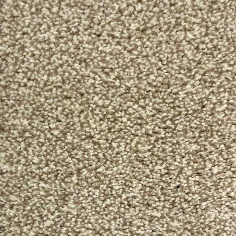 Cosiness saxony carpet in colour Lily
