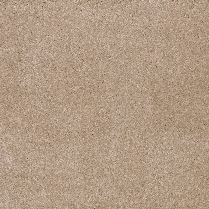 Dreamy delight saxony carpet in colour Canvas