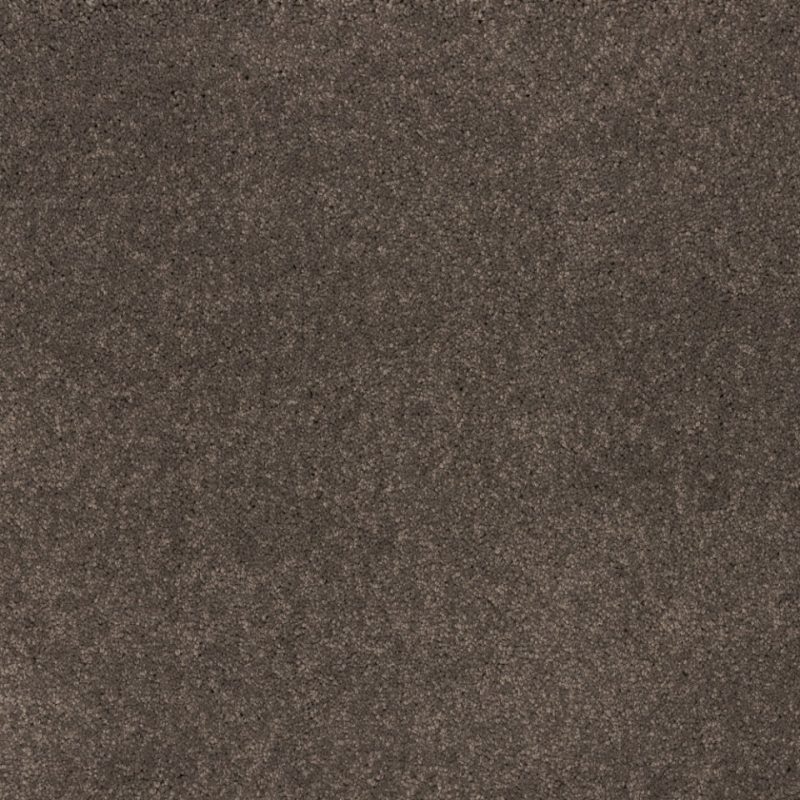 Dreamy delight saxony carpet in colour Cool Charcoal