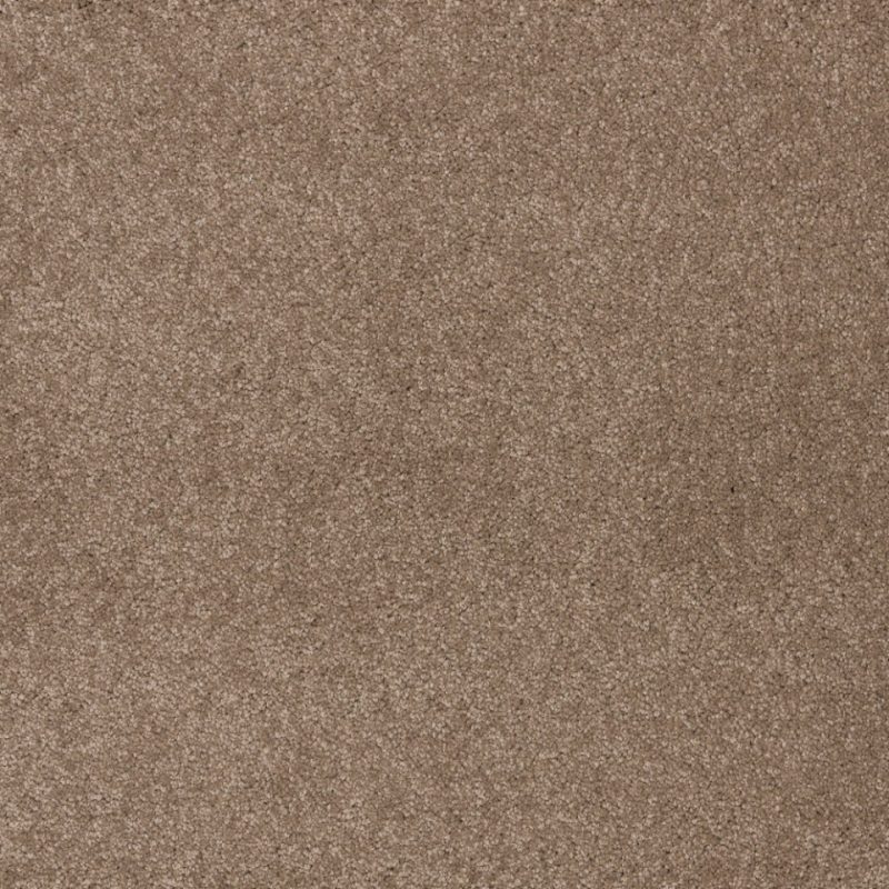 Dreamy delight saxony carpet in colour Dolomite