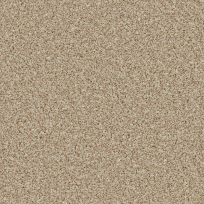Florence twist pile carpet in Caracal