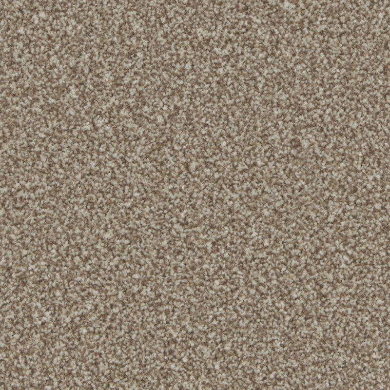 Florence twist pile carpet in Kernel