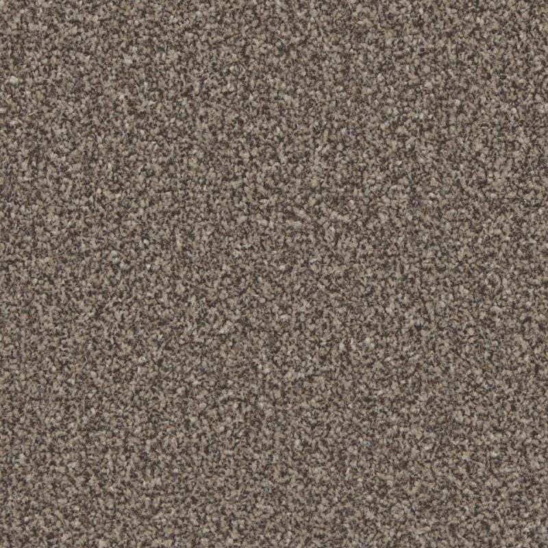 Florence twist pile carpet in Molasses