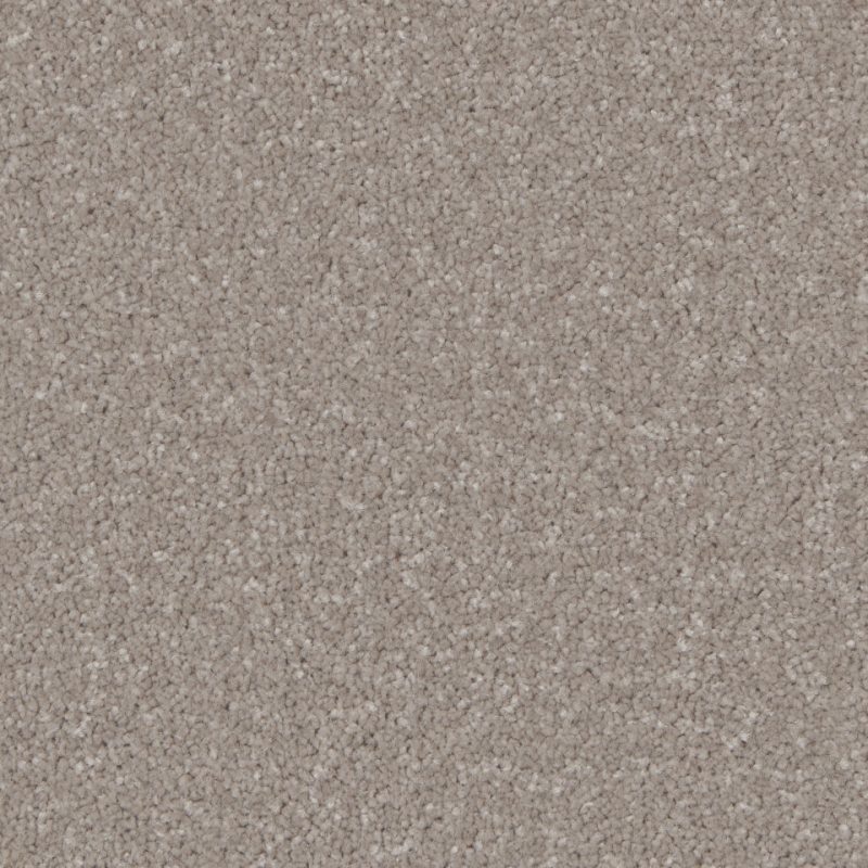 Florence twist pile carpet dsplayed in a room in colour Mushroom