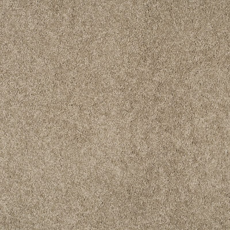 Magical feeling saxony carpet in colour Furry Beige