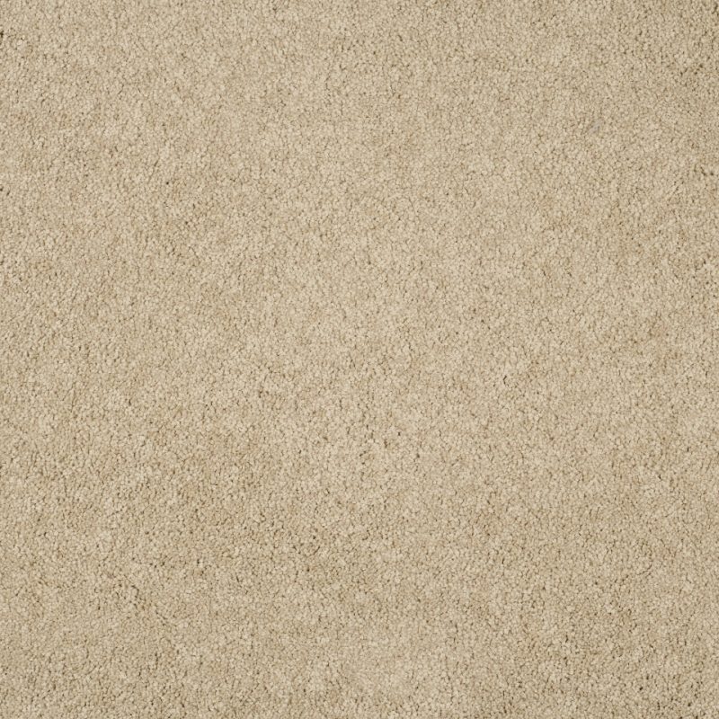 Magical feeling saxony carpet in colour Ibis White