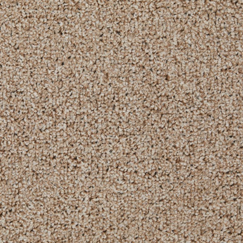 Perth twist pile carpet in 70