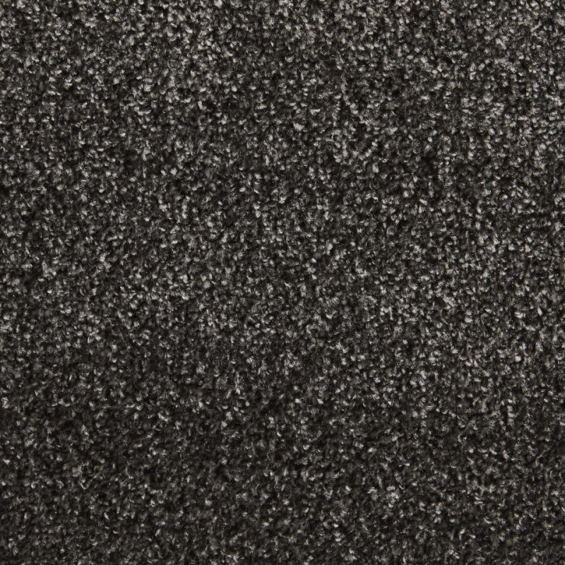 Perth twist pile carpet in 73