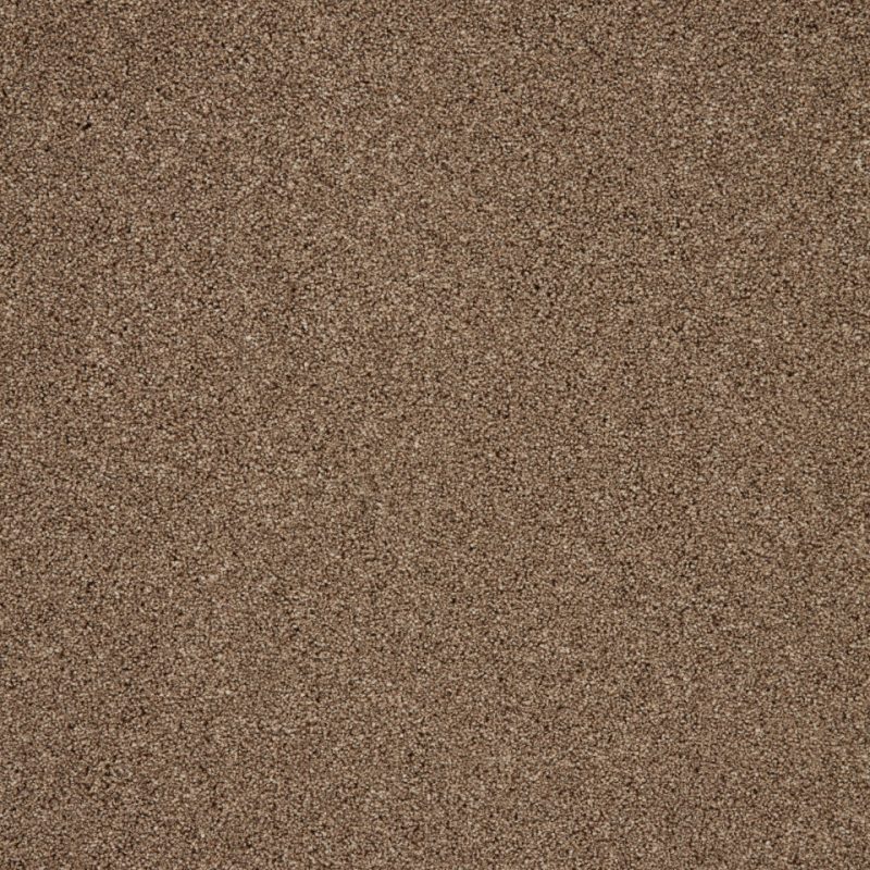 pompei twist pile carpet in colour autumn trail