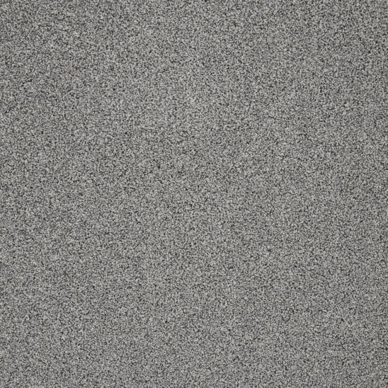 pompei twist pile carpet in Lapwing