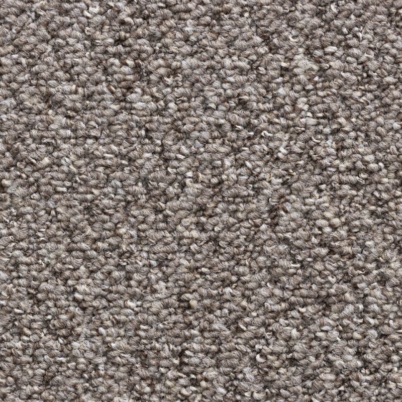 Castle Berber berber loop carpet in Mink