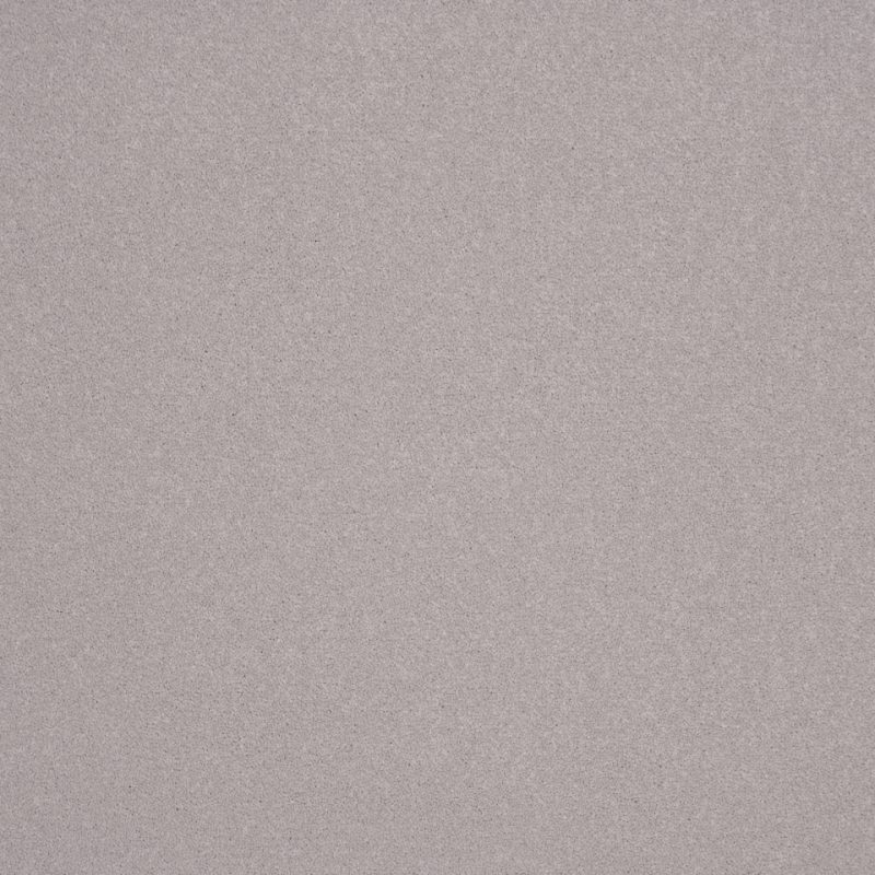 Elegance twist pile carpet in Snow Leopard