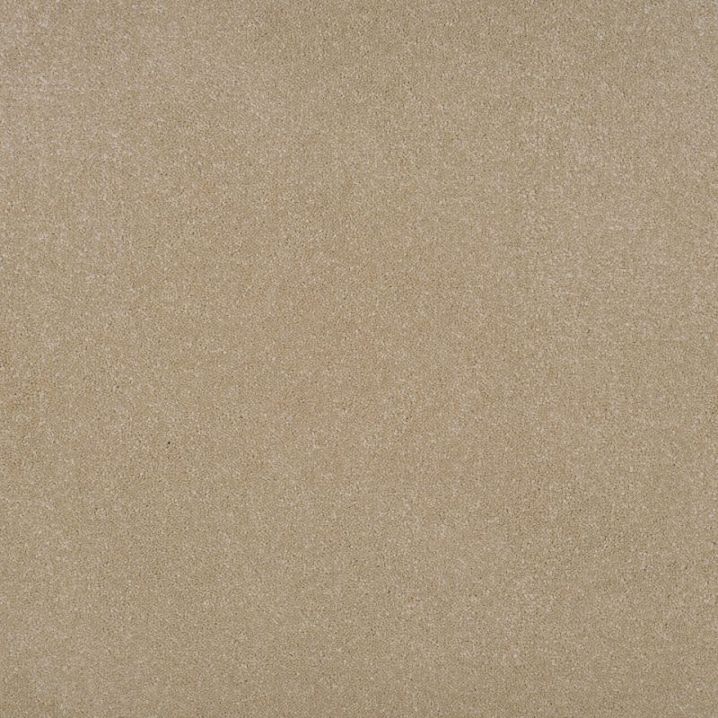 Grace twist pile carpet in Cherish