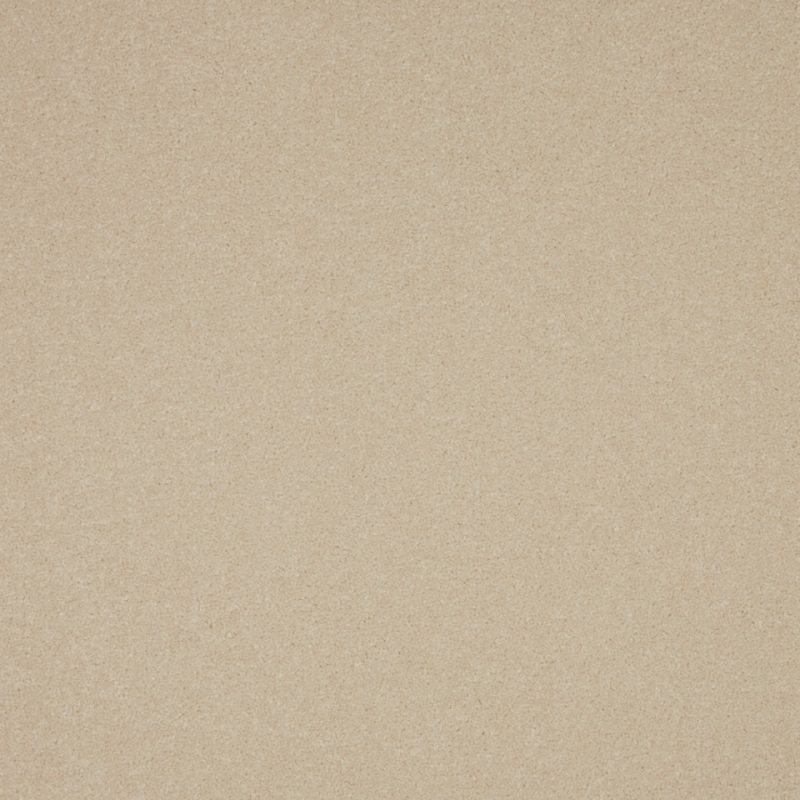 Lucca twist pile carpet in Ecru