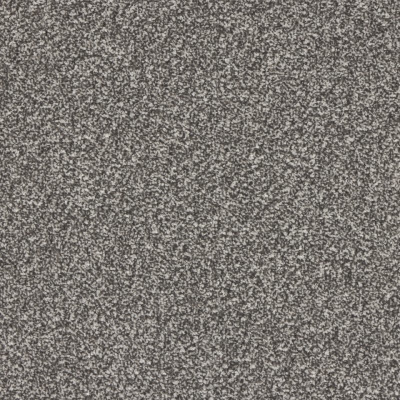 St Davids twist pile carpet in Steel