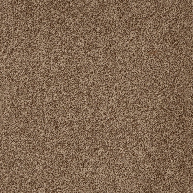York Elite twist pile carpet in Latte Beige