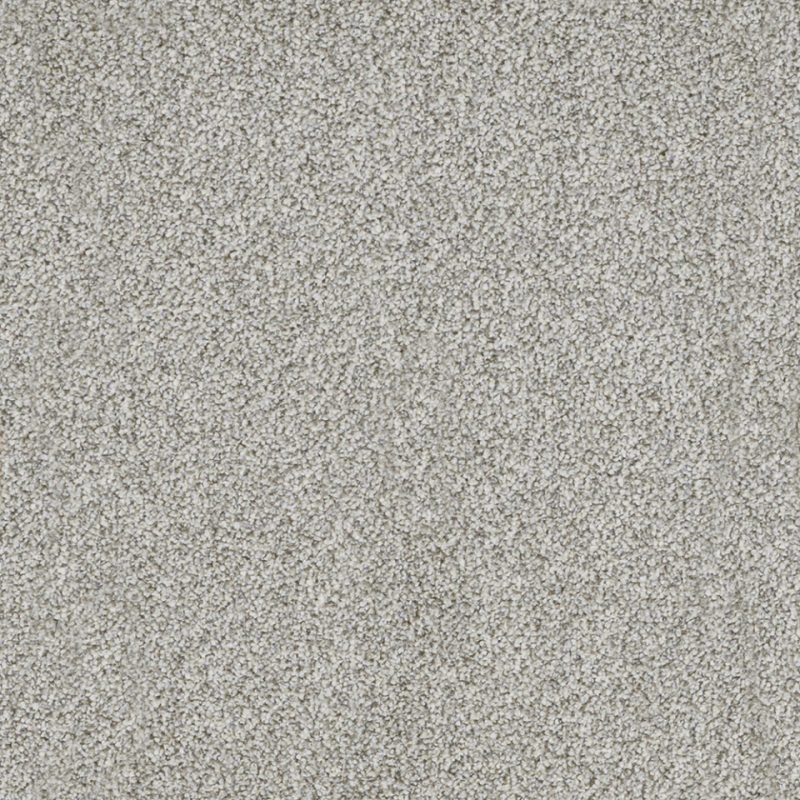 York Elite twist pile carpet in Quick Silver