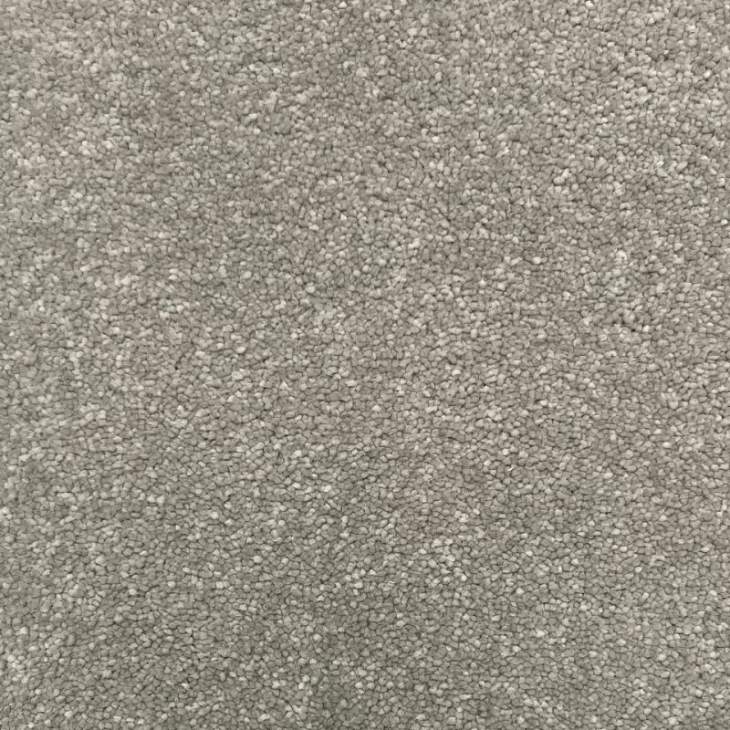 Ultimate impressions twist pile carpet in Merit