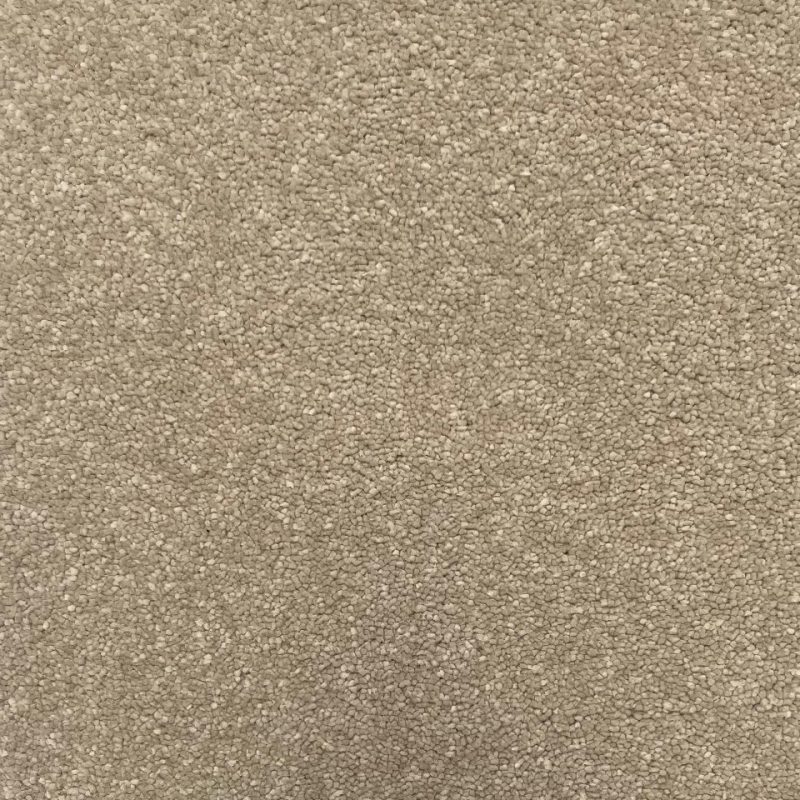 Ultimate impressions twist pile carpet in Paradise